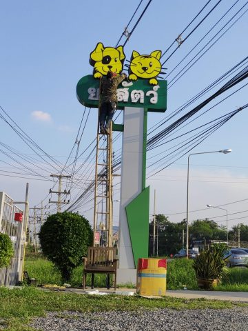 ป้ายพลาสติก รูปที่ 37 - อาร์มงานป้ายโคราช