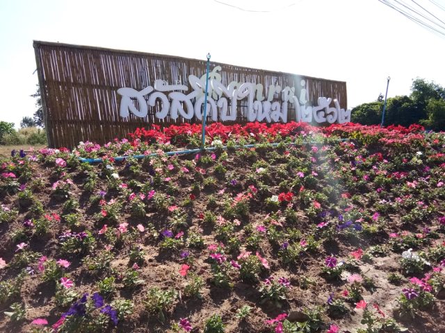 ป้ายพลาสติก รูปที่ 80 - อาร์มงานป้ายโคราช