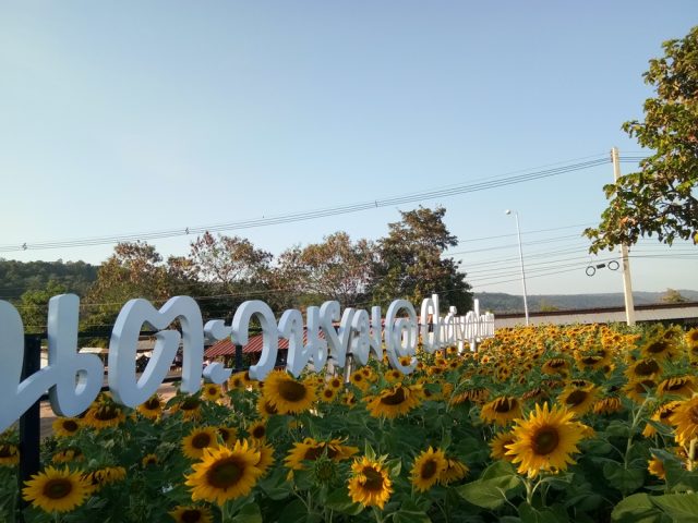 ป้ายพลาสติก รูปที่ 81 - อาร์มงานป้ายโคราช