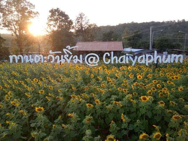 ป้ายพลาสติก รูปที่ 84 - อาร์มงานป้ายโคราช