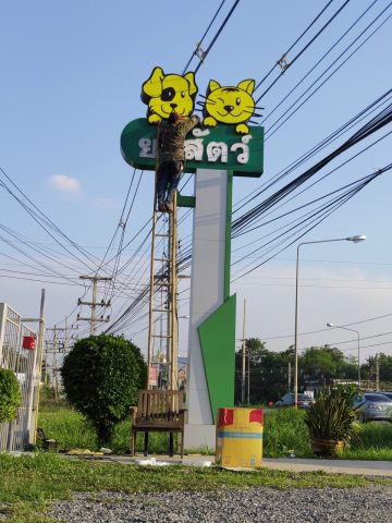 อักษรไฟ LED. รูปที่ 41 - อาร์มงานป้ายโคราช