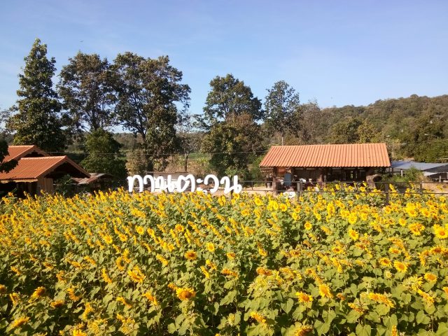 สแตนเลส, ป้ายไวนิล รูปที่ 113 - อาร์มงานป้ายโคราช
